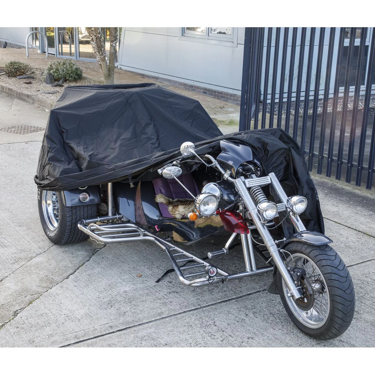 Thumbnail 6